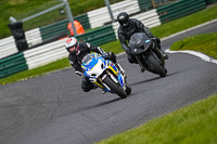 cadwell-no-limits-trackday;cadwell-park;cadwell-park-photographs;cadwell-trackday-photographs;enduro-digital-images;event-digital-images;eventdigitalimages;no-limits-trackdays;peter-wileman-photography;racing-digital-images;trackday-digital-images;trackday-photos